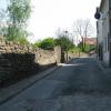 , Darek