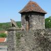 , Darek