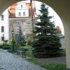 , Darek