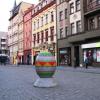 , Darek