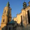 Archikatedra Wniebowzięcia NMP i św. Jana Chrzciciela, Kinga