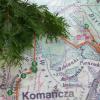 Plan Komańczy, Janek