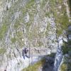 , Janek
