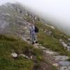 , Janek