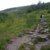 , Janek
