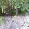 , Janek