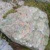 , Janek