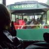 , Janek