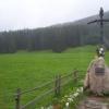 , Janek