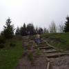 , Janek