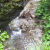 , Janek