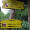, Janek