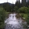, Janek
