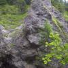 , Janek