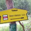 , Janek