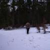 , Janek