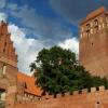 Kwidzyn, Justyna J.