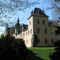Zamek Kliczków z zewnątrz, Darek