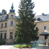 Zamek Kliczków od strony dużego dziedzińca, Darek