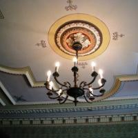 Bogata sztukateria na suficie komnaty heraldycznej, Darek