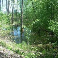 Bagno, Agatka