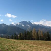 4, Kinga