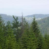 Panorama w stronę Klikuszowej., Janek