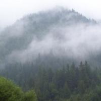 Zamglone zbocza., Janek