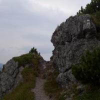 , Janek