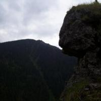 , Janek