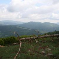 Widok z Jaworzynki, Teresa Nowak