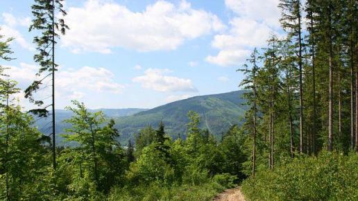 Widok na..Czantorię? Chyba tak, Marta
