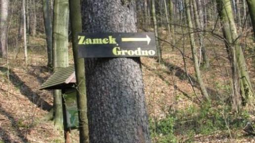 , Darek