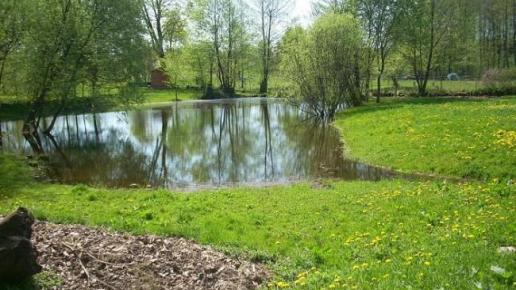 Staw, Agatka