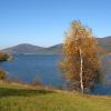 jest bajecznie, Kinga