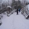, Janek