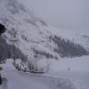 , Janek
