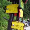 , Janek