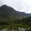 , Janek