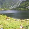 , Janek