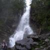 , Janek