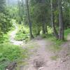 , Janek