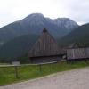 , Janek