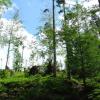 , MARIUSZ