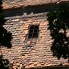 Studzieniec - fragment dachu, Artur