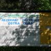 , Teresa Nowak