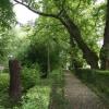 Park, Teresa Nowak
