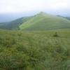 , krystyna