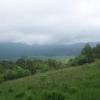 , krystyna