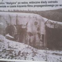 , Ola Dzitkowska